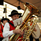 11_7_2013 Musikfest Au 11_jpg-1373622486