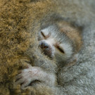 ABD0061-20130711.jpg