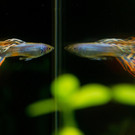ABD0042-20130707.jpg