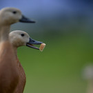 ABD0004-20130706.jpg