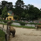 normal_07072013fmt_zoowien_ta_079.JPG