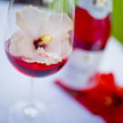 Hibiskus_flair_02.jpg