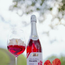 Hibiskus_Glas und Flasche_01.jpg