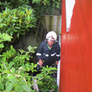 Bilder