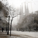 20100309.jpg
