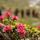 DSC03215 _Large_.JPG
