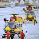 IBD1286-20130712.jpg