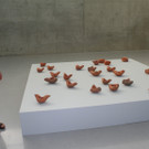 IMG_0008_JPG-1373704590