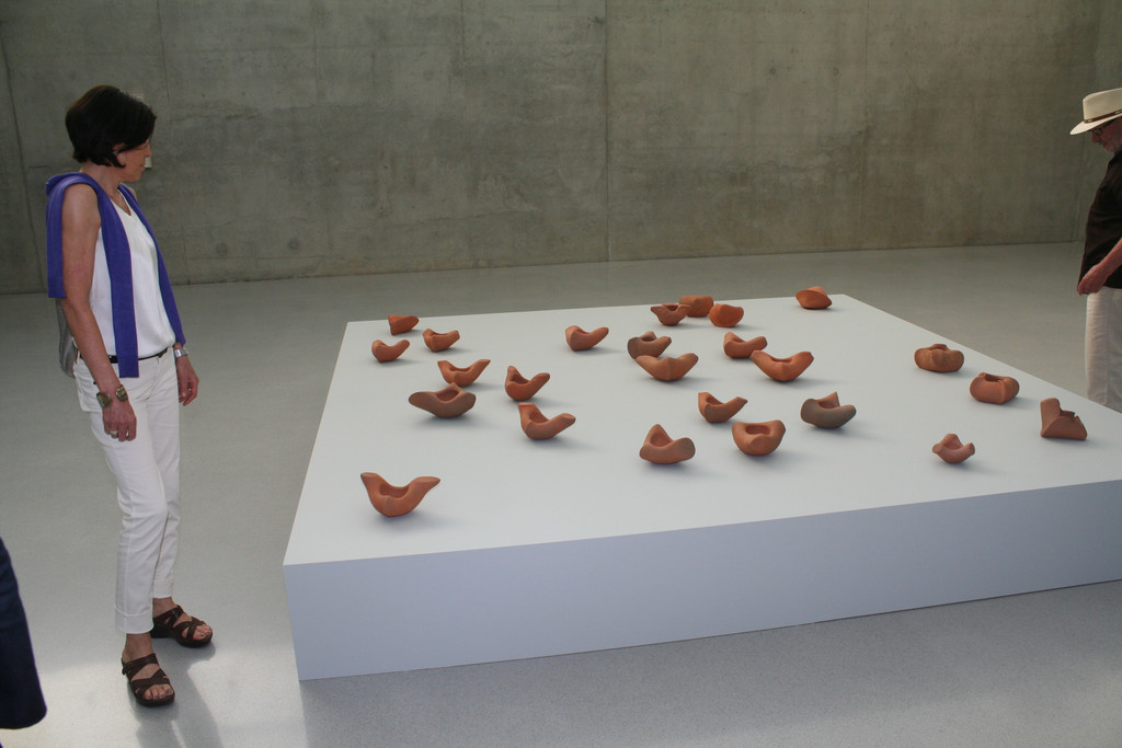 IMG_0008_JPG-1373704590