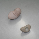 IMG_9983_JPG-1373704741