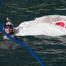 39_9fc82012ec4865d509b102e70df0714a_640.jpg