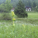 Haus 1_JPG-1373717751