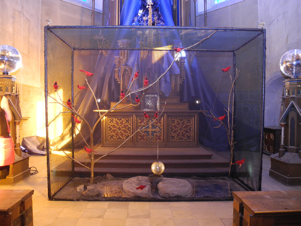 DSCN0535_JPG-1373721228