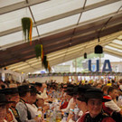 DSC01407.jpg