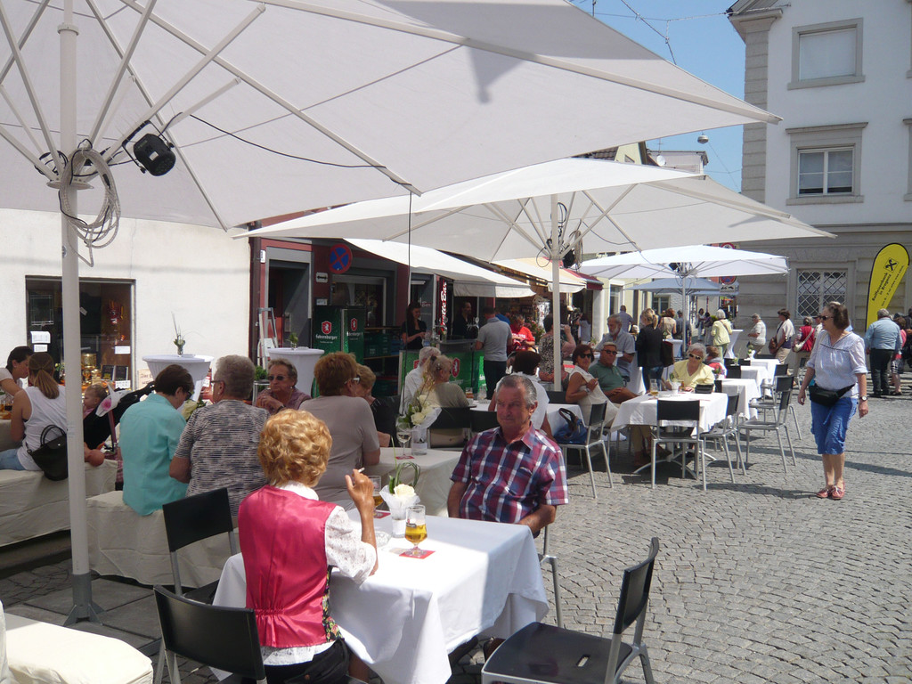 L1080442_jpg-1373733062