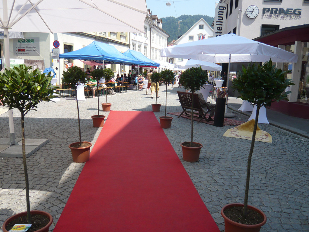 L1080449_jpg-1373733198