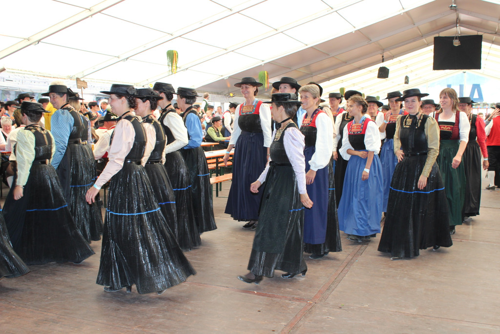 IMG_5445_JPG-1373736789