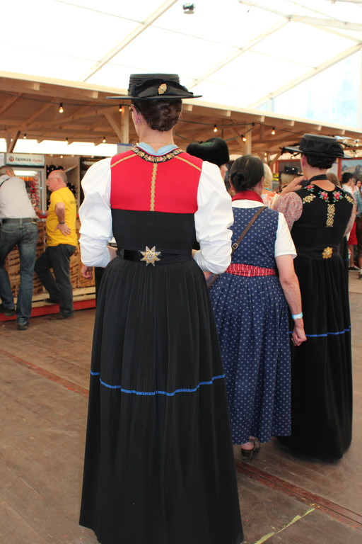 IMG_5562_JPG-1373736821