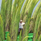 DSCN2233_JPG-1373743520