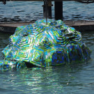 DSCN2216_JPG-1373743515