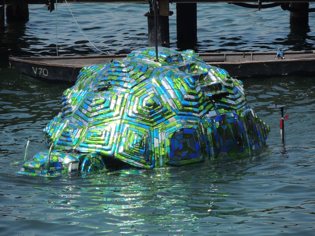 DSCN2216_JPG-1373743515