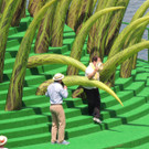 DSCN2237_JPG-1373743524