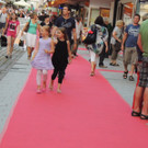 DSCN2923_JPG-1373744584