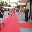 DSCN2938_JPG-1373744603