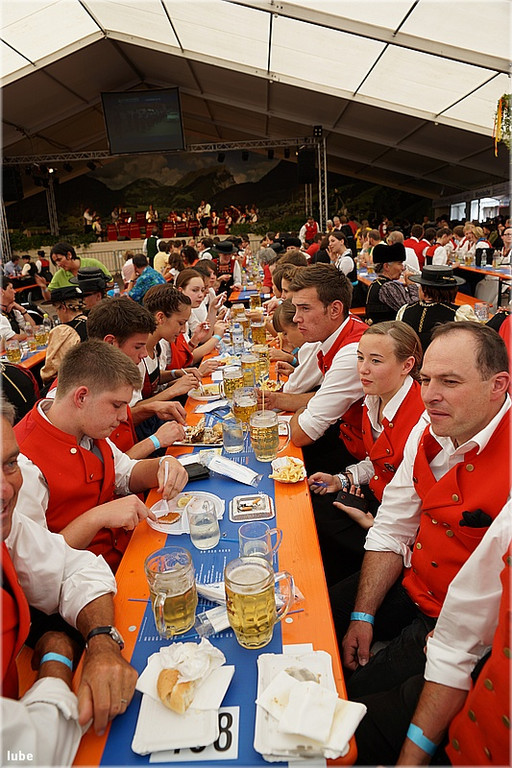 DSC00809_JPG-1373754965
