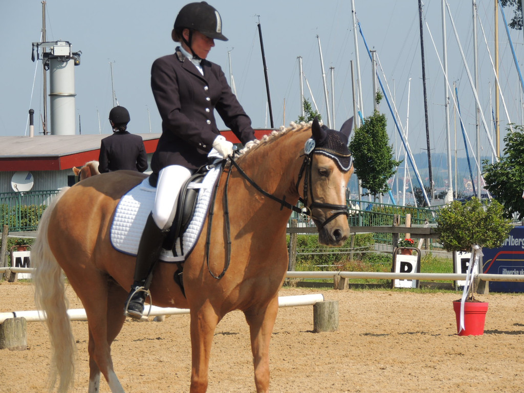 DSCN4171_JPG-1373756824