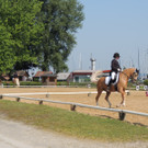 DSCN4167_JPG-1373756814