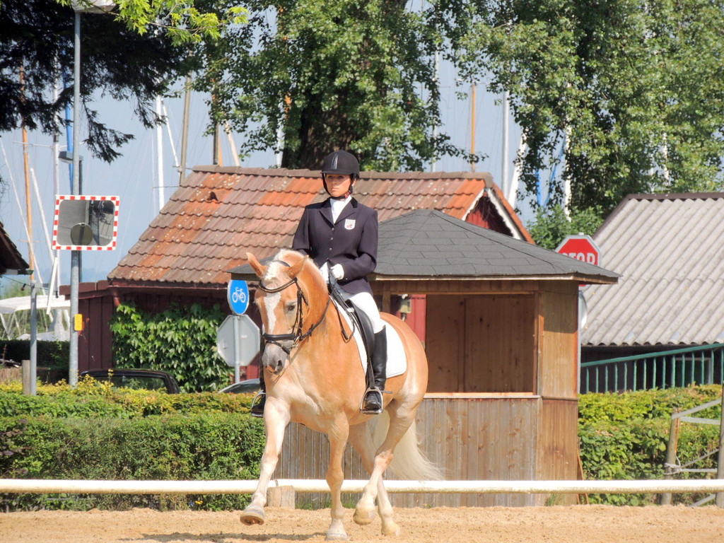 DSCN4169_JPG-1373756820