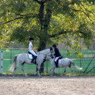 DSCN4187_JPG-1373756840