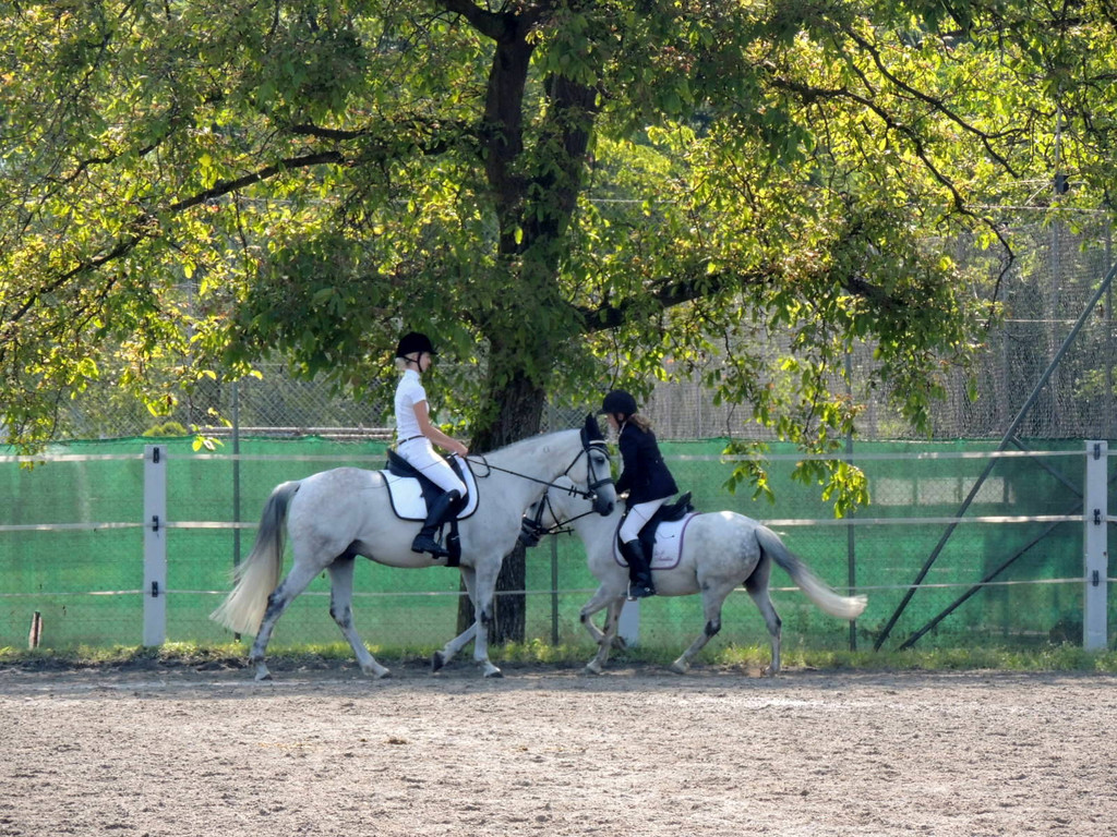 DSCN4187_JPG-1373756840