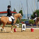 DSCN4192_JPG-1373756847