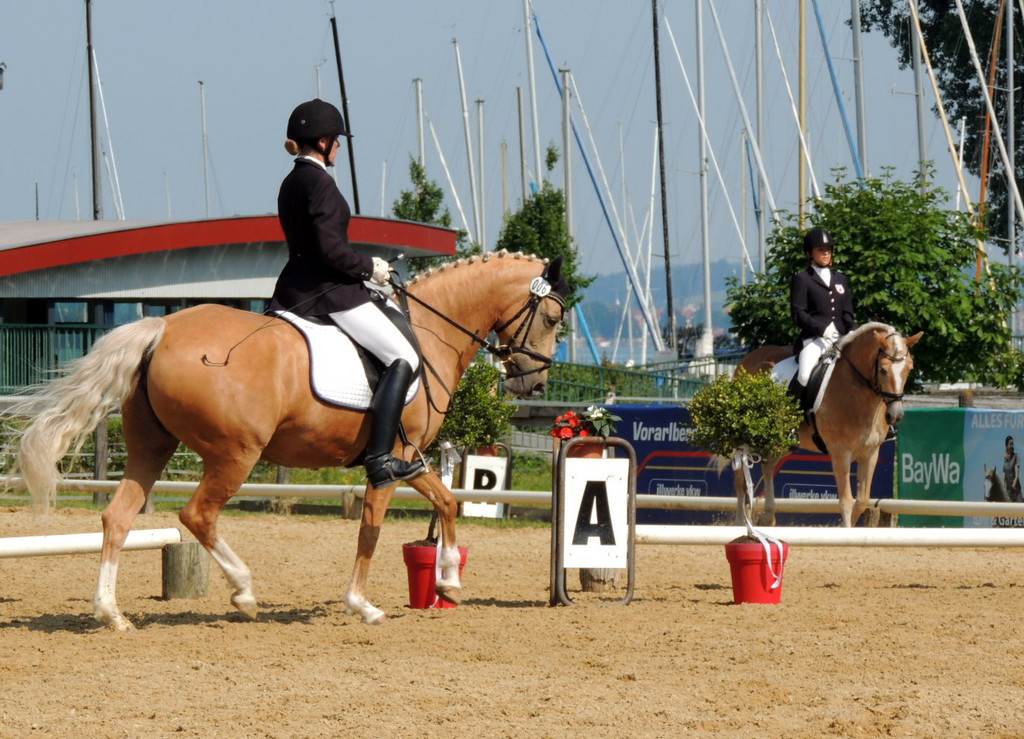 DSCN4192_JPG-1373756847