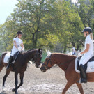 DSCN4179_JPG-1373756832