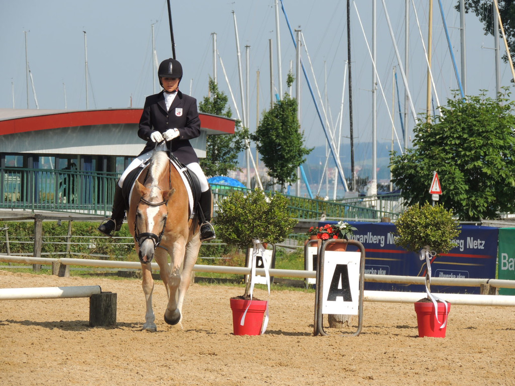 DSCN4195_JPG-1373756852