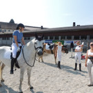 DSCN4196_JPG-1373756856