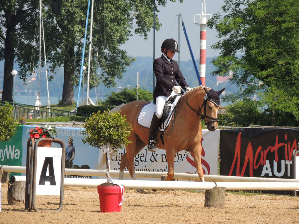 DSCN4217_JPG-1373756869