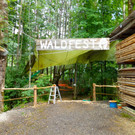waldfest1_jpg-1373788341