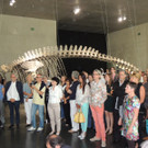 DSCN2775_JPG-1373791757