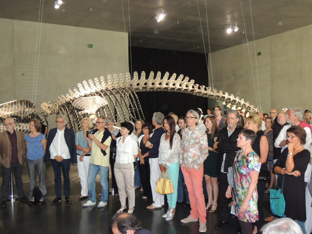 DSCN2775_JPG-1373791757