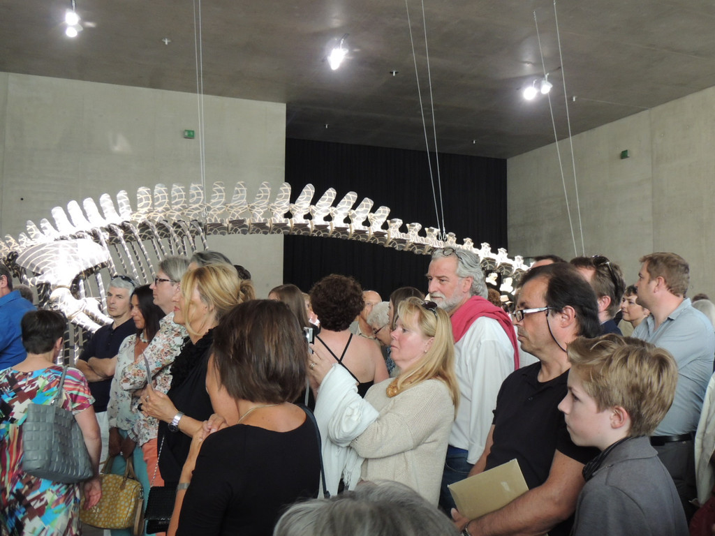 DSCN2884_JPG-1373791917