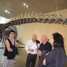 DSCN2893_JPG-1373791933