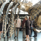 DSCN2903_JPG-1373791939