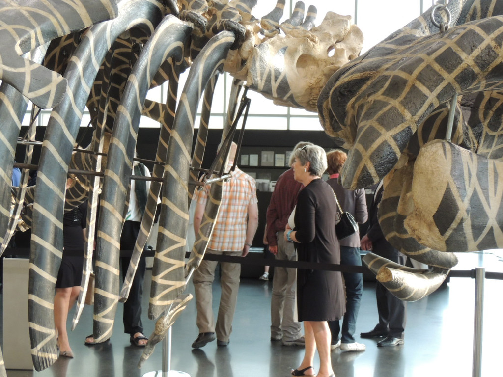 DSCN2903_JPG-1373791939