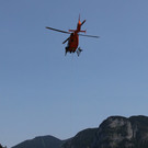 IMG_1390.jpg