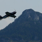 Bilder der Scalaria, II