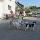 IMG_2346 _Small__jpg-1373811560